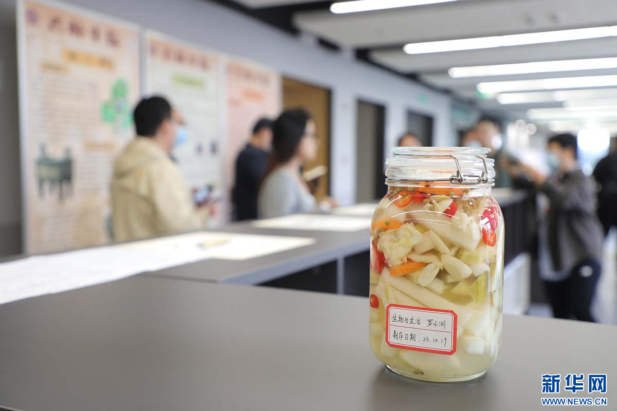 河北雄安新区：家门口入学 共享北京优质教育资源