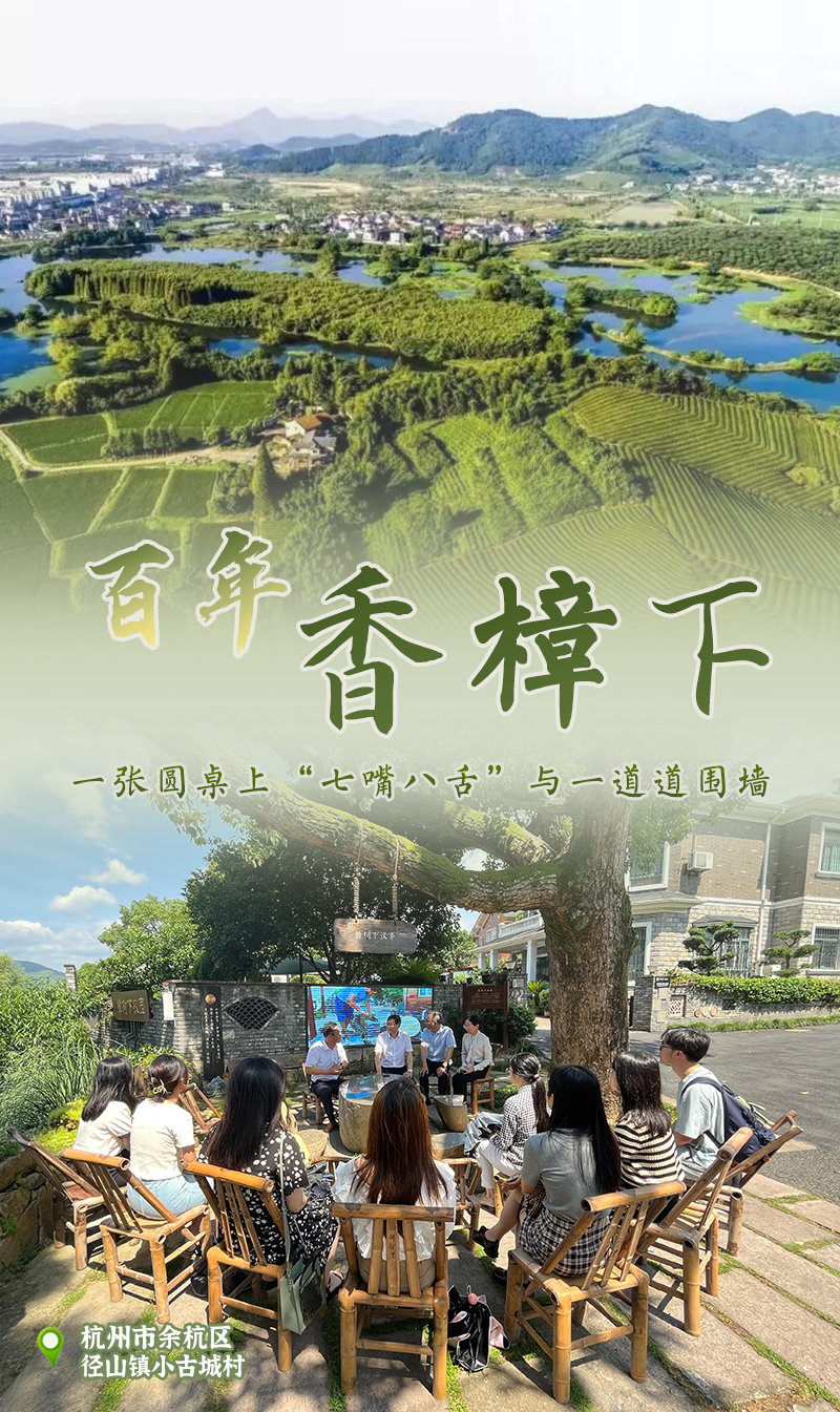 中国“枫景”丨“枫桥经验”一甲子，传承密码在“浙”里