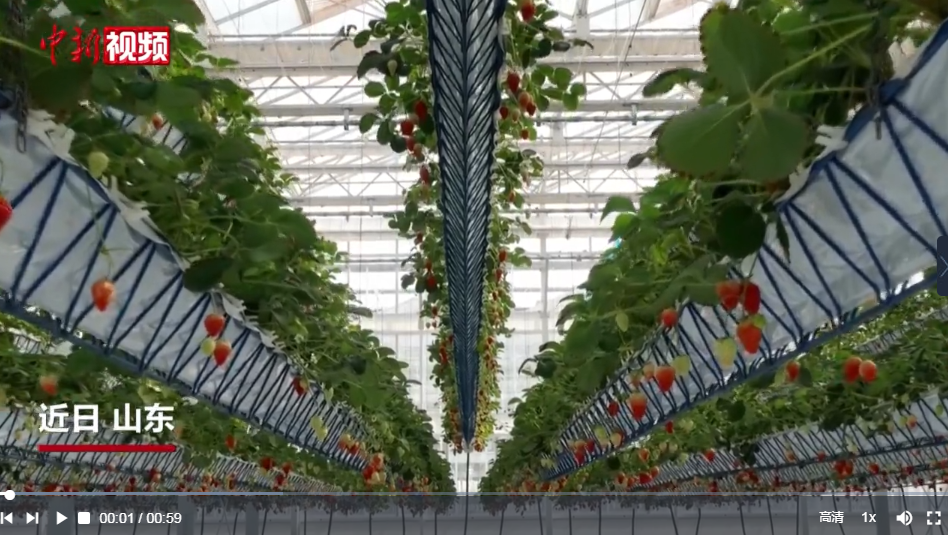 山东推进循环农业发展 变“生态包袱”为“绿色财富”