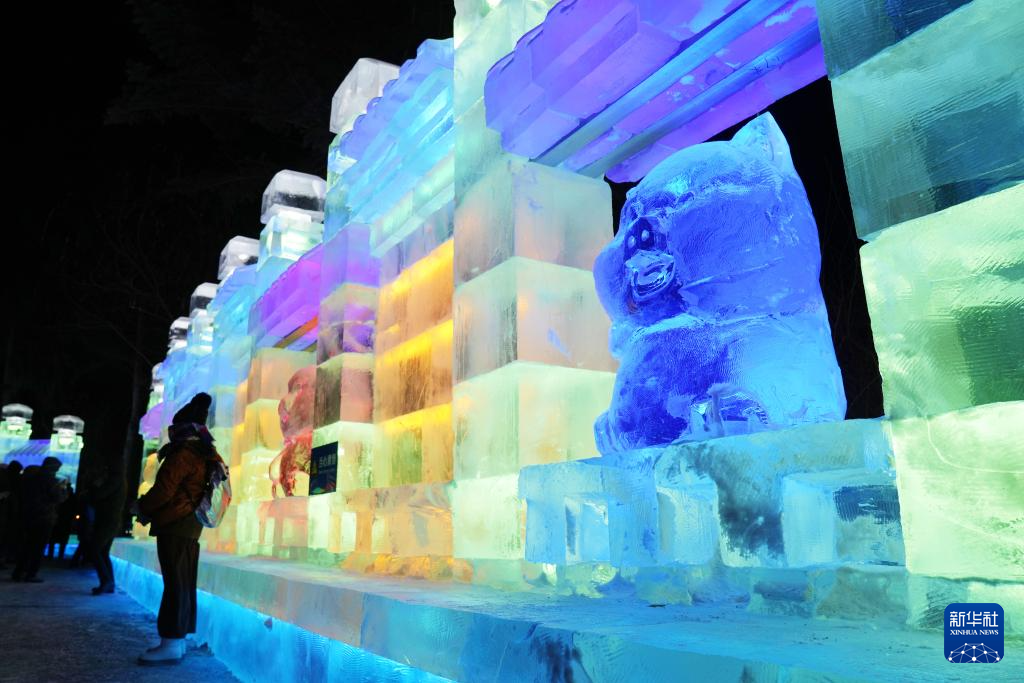 第五十届哈尔滨冰灯艺术游园会开园