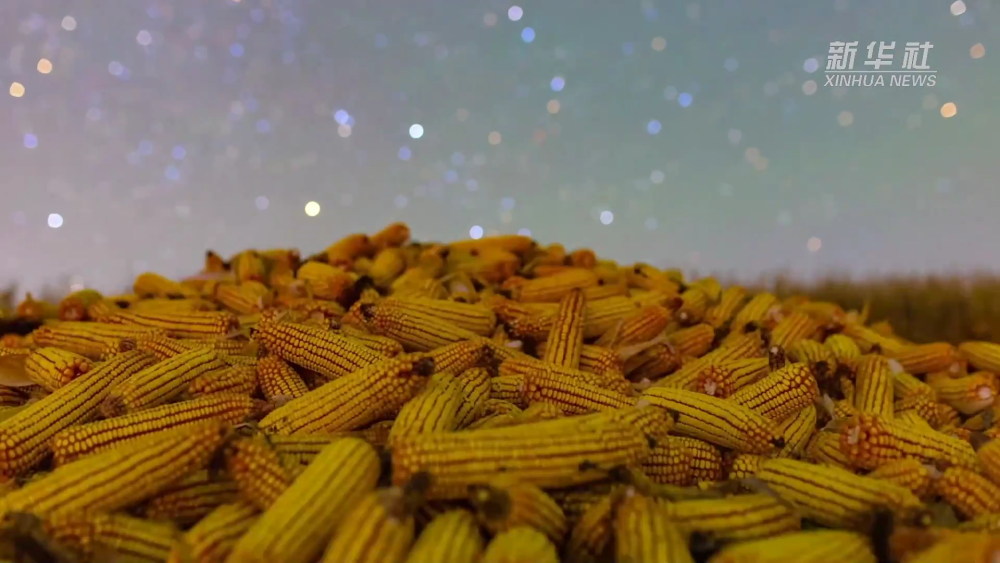 101秒延时摄影 看中国最北省四季绝美星空