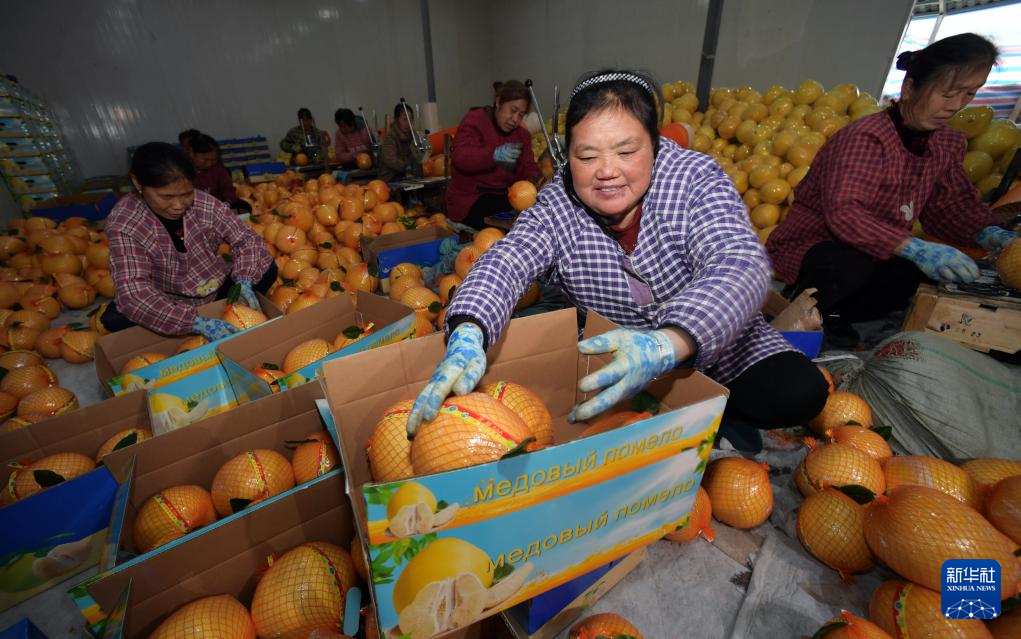 贵州岑巩:大山里的水果乘上中欧班列