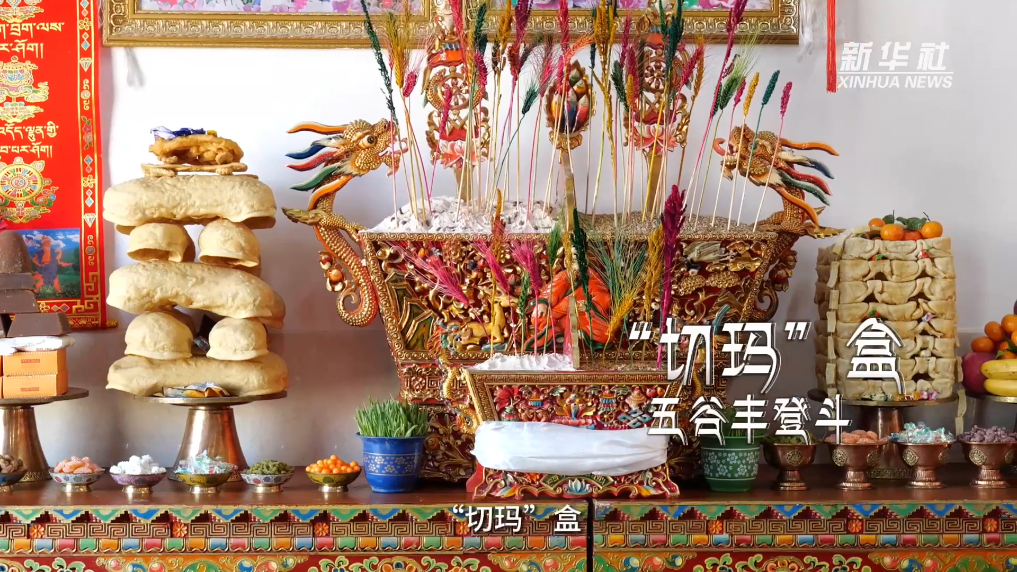 新春走基层｜西藏“琪”遇Vlog：淘货西藏农家新年