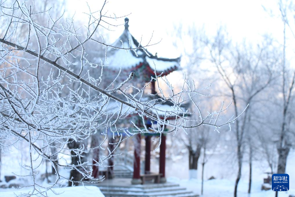 辽宁本溪：雾凇美如画