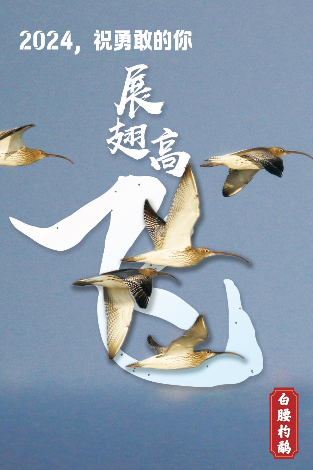 2024，跟我起飞！