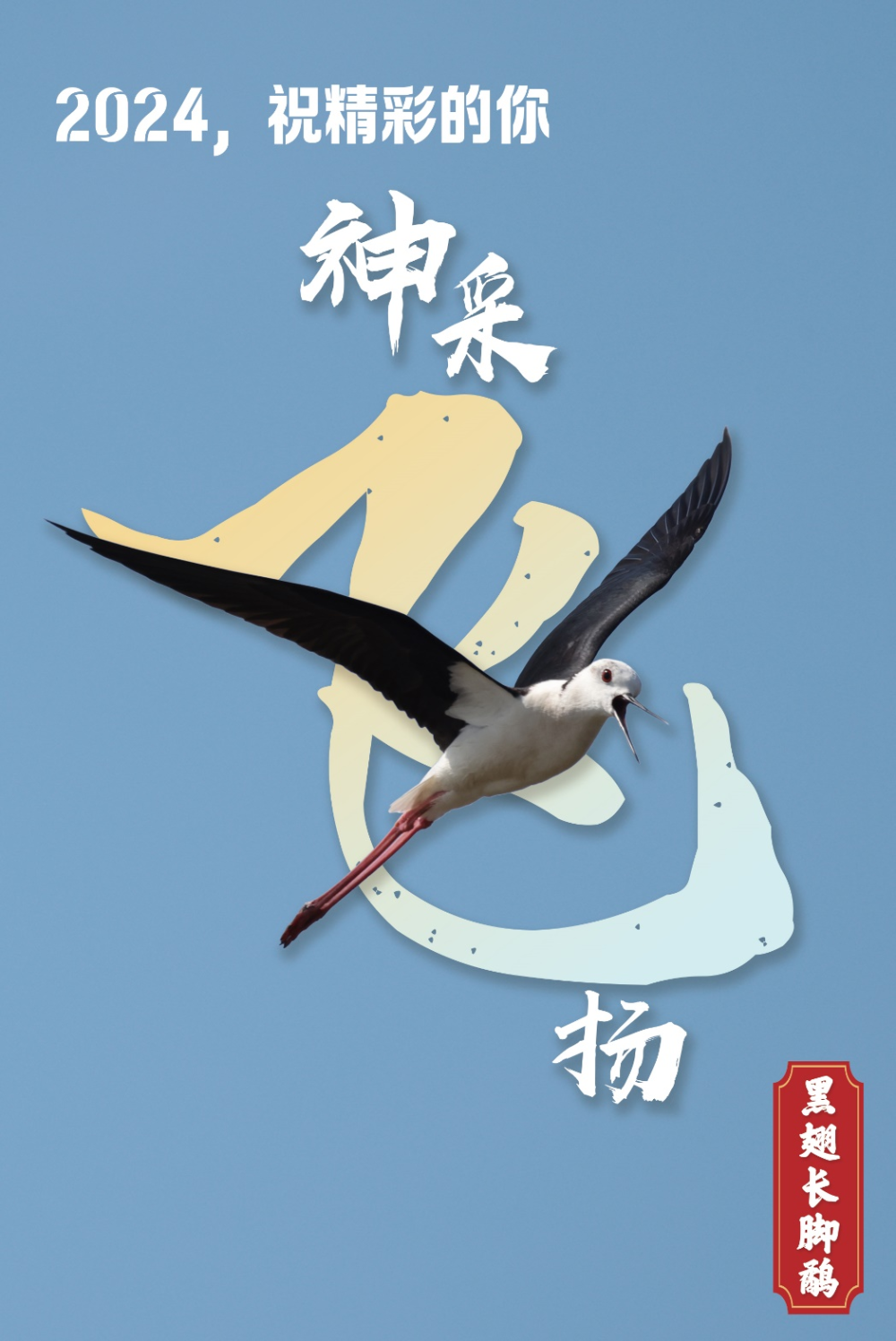 2024，跟我起飞！