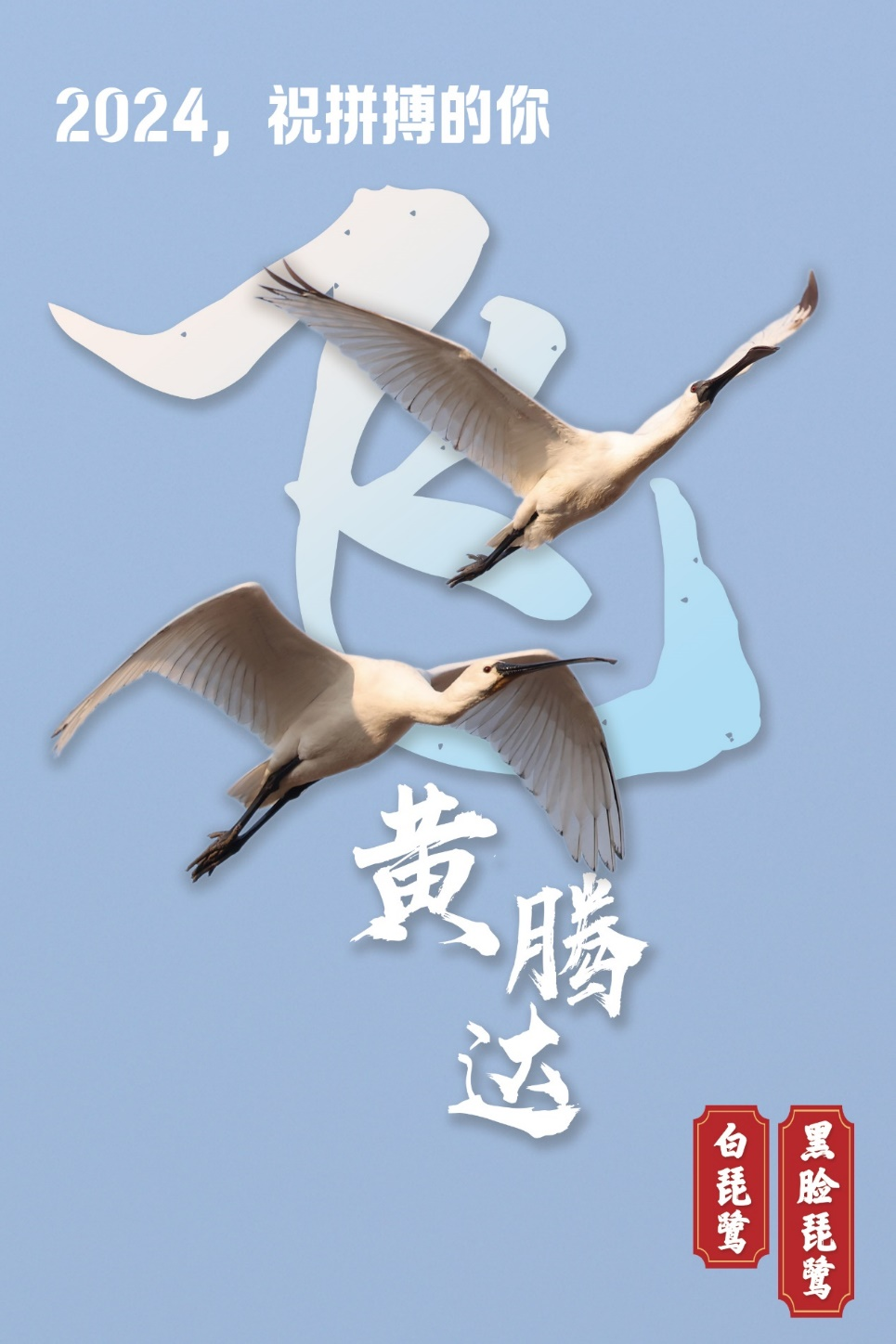 2024，跟我起飞！