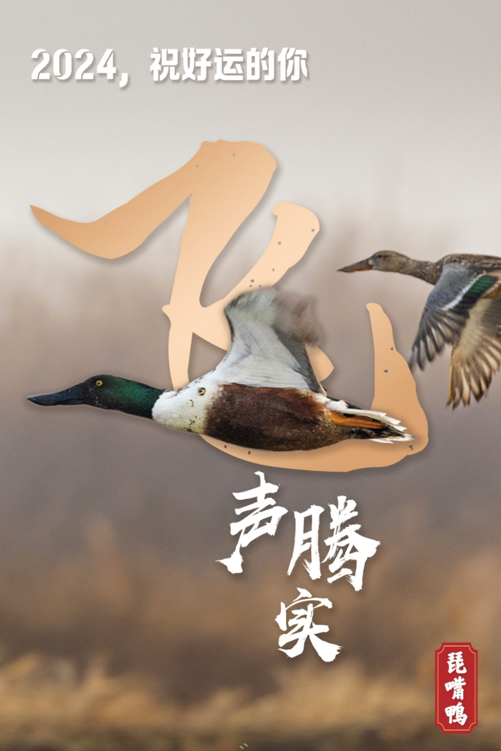 2024，跟我起飞！