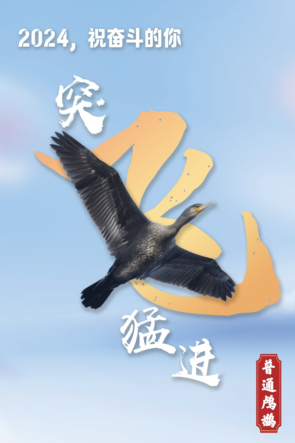 2024，跟我起飞！