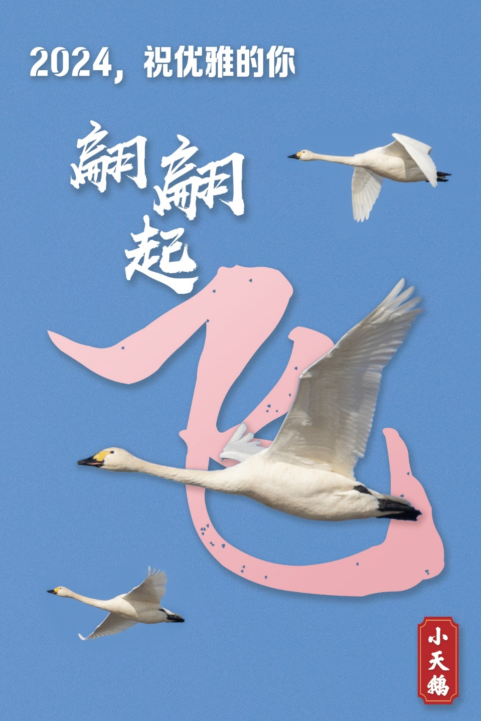 2024，跟我起飞！