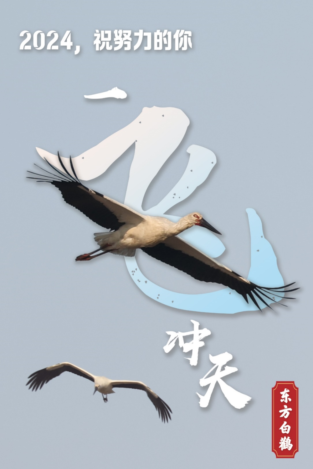 2024，跟我起飞！