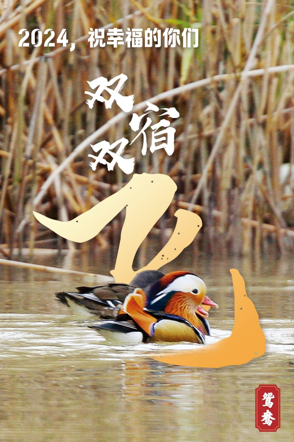 2024，跟我起飞！