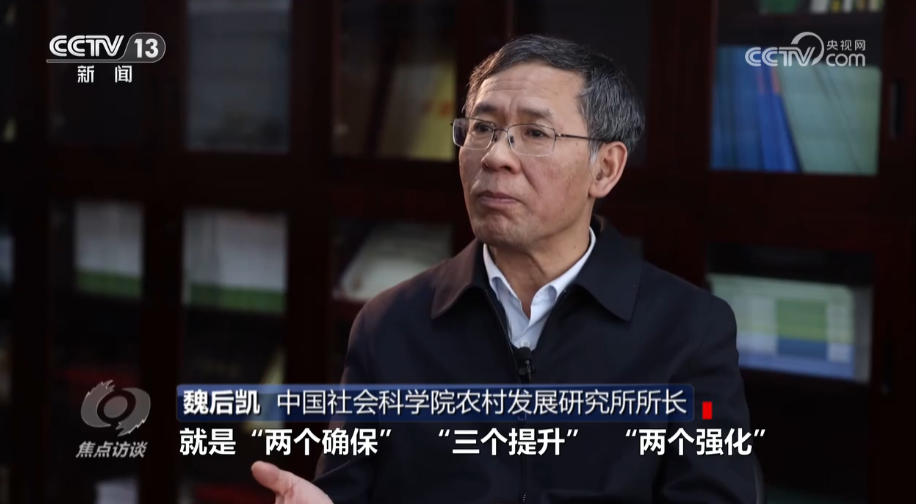 焦点访谈：推进乡村全面振兴取得新成效