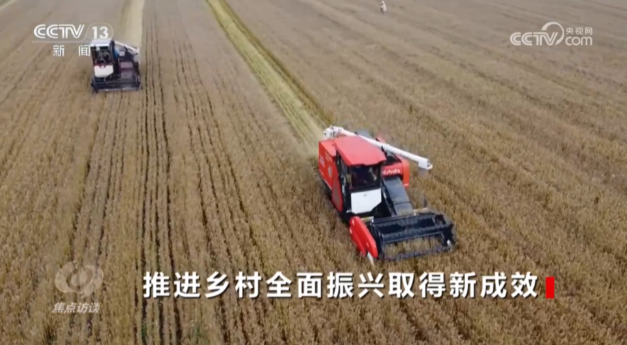焦点访谈：推进乡村全面振兴取得新成效