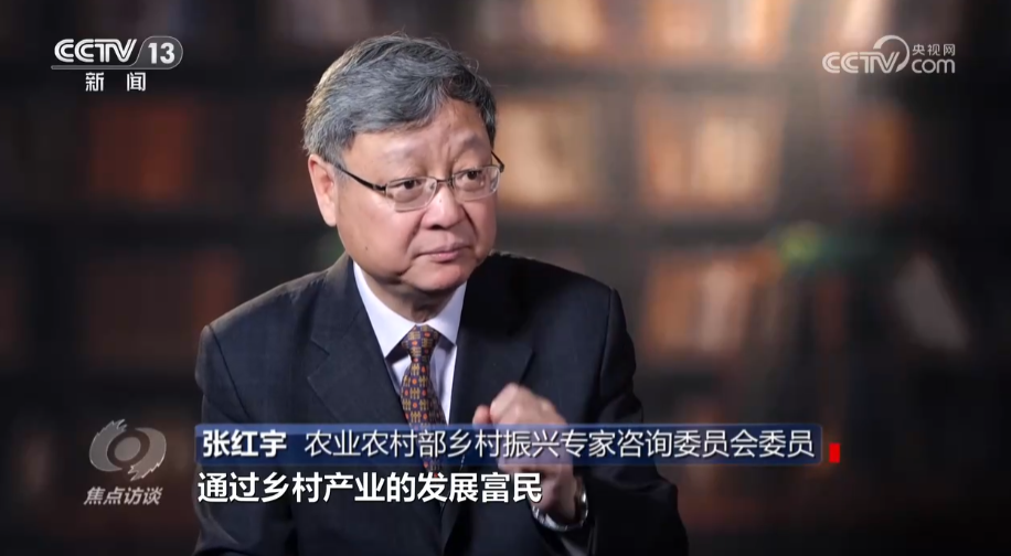 焦点访谈：推进乡村全面振兴取得新成效