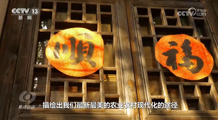焦点访谈：推进乡村全面振兴取得新成效