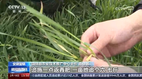 各地加强春耕春管 夯实粮食丰收基础