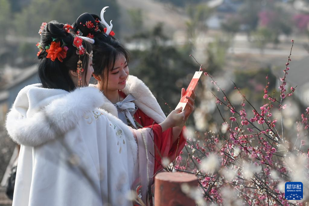 浙江湖州：梅花竞放香似海
