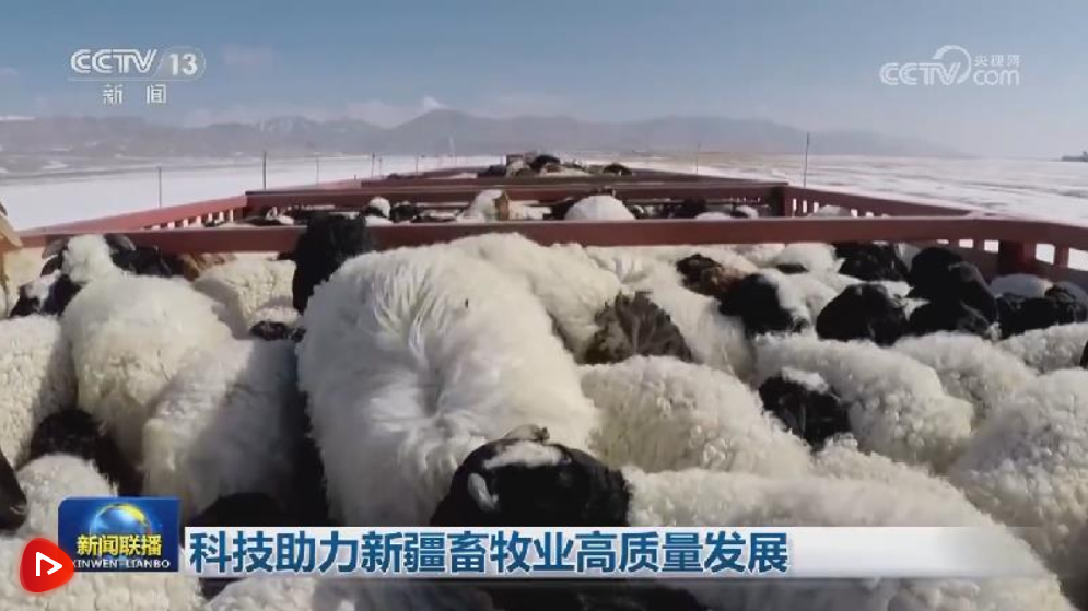 科技助力新疆畜牧业高质量发展