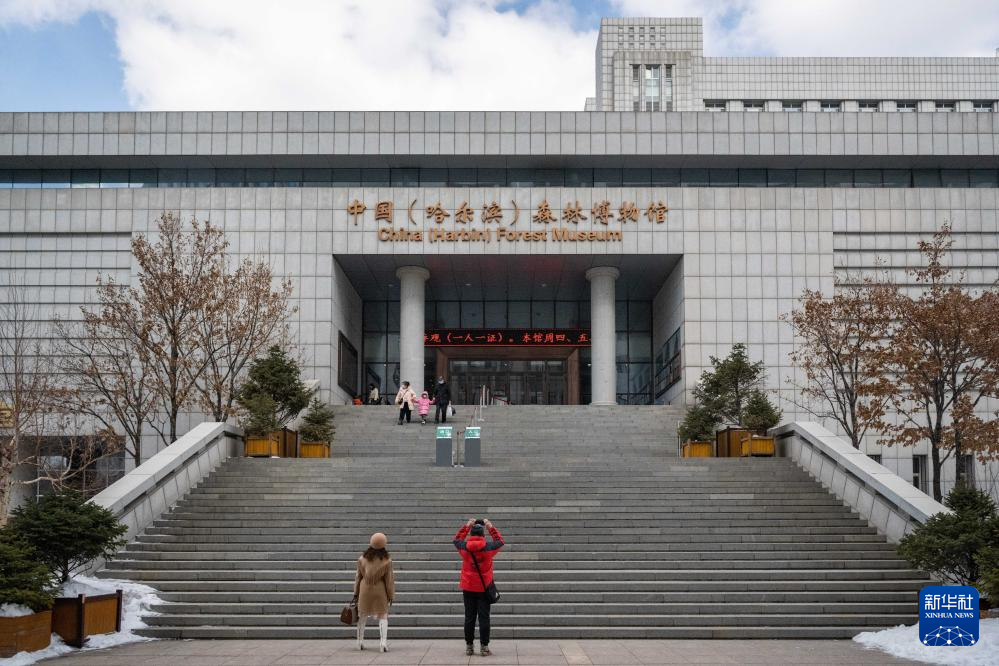 世界森林日：探访中国（哈尔滨）森林博物馆