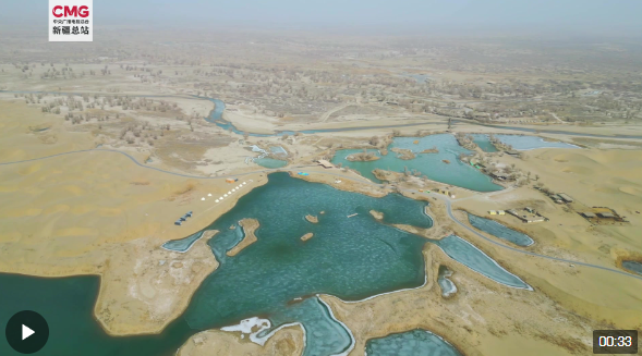春动天山 | 新疆巴州：冰雪消融群鸟归 沙漠湖泊春意来