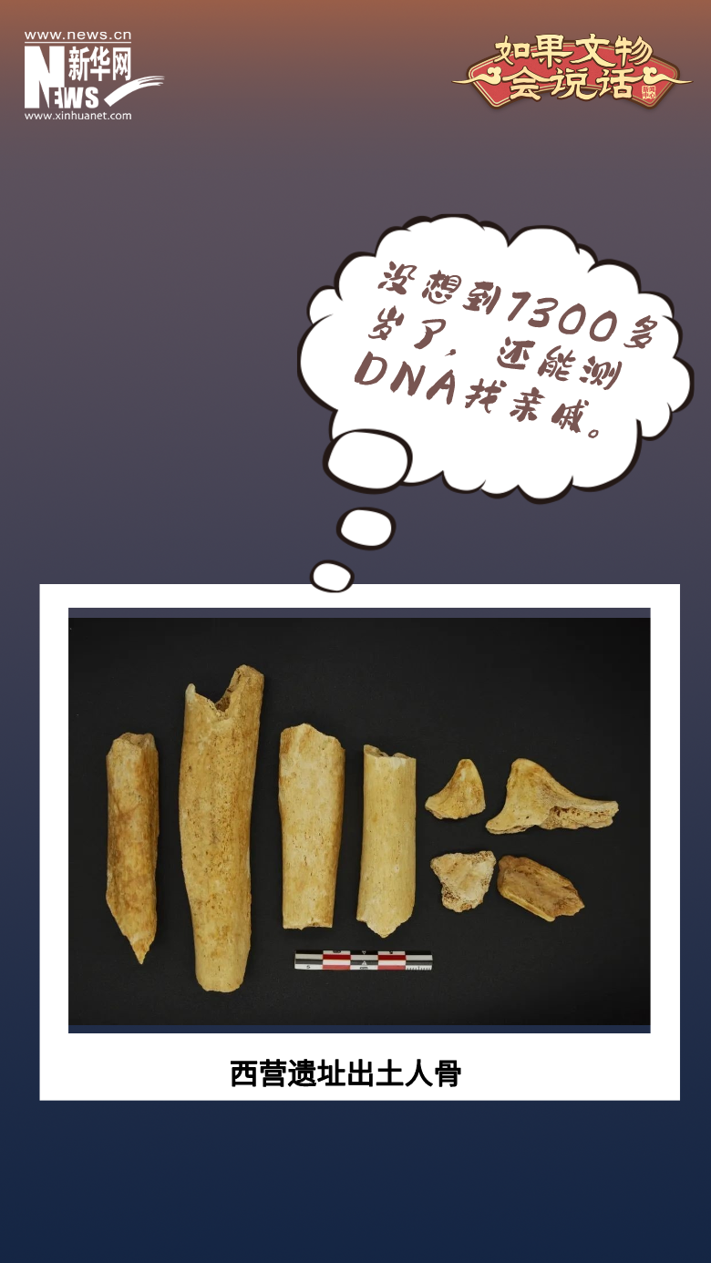 如果文物会说话｜这个遗址群实证了7000多年前福建岛民的食谱有多丰富！