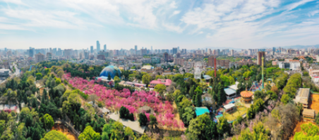 万千气象看中国丨听!原创MV《有一种叫云南的生活》带您领略美好云南 万千气象看中国丨听!原创MV《有一种叫云南的生活》带您领略美好云南