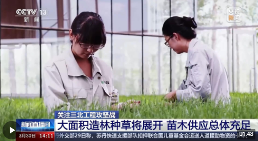 科学绿化、合理配置 良种壮苗“助阵”三北工程攻坚战