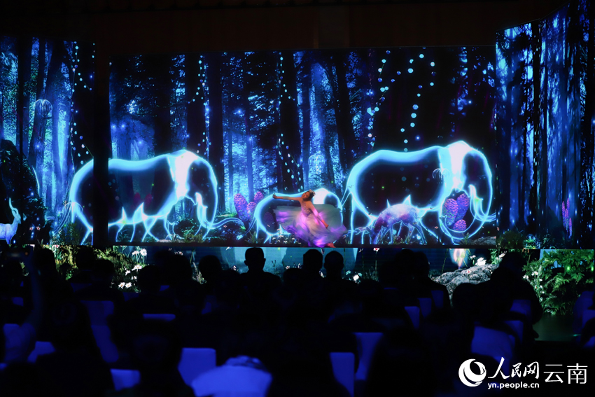 当舞蹈遇见虚拟现实 人与自然舞出“万物有灵”