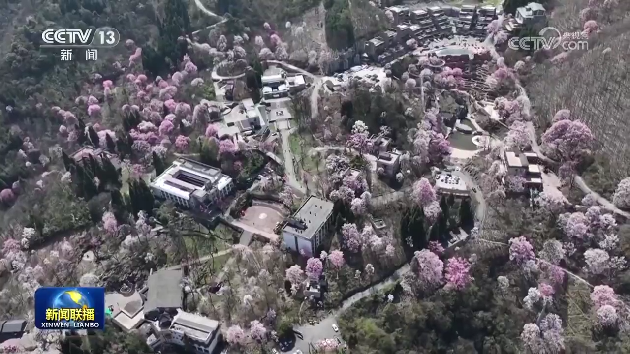 繁花似锦 尽享和煦春光