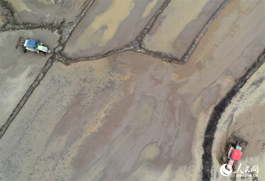 农民驾驶旋耕机在水田进行旋耕作业。 人民网记者 时雨摄