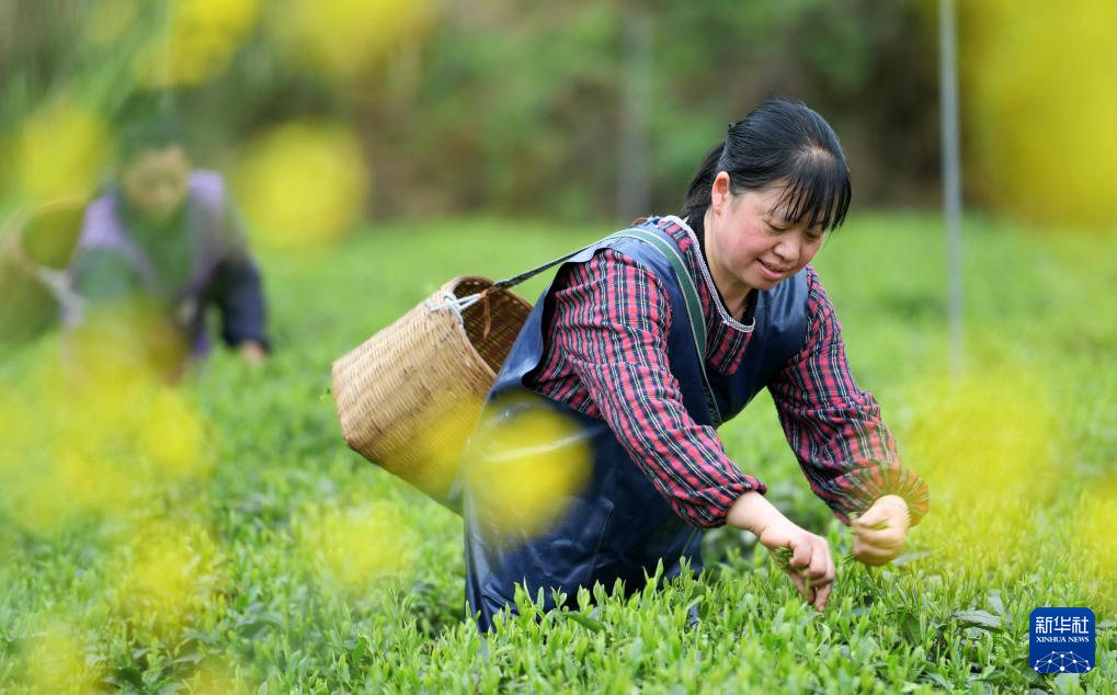 清明假期呈现多个出游新热点 你参与了哪些？