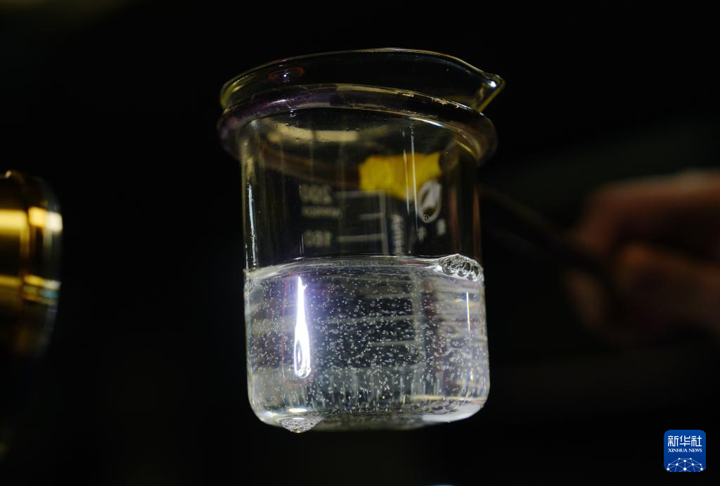 河北曹妃甸中国对虾虾苗繁育忙