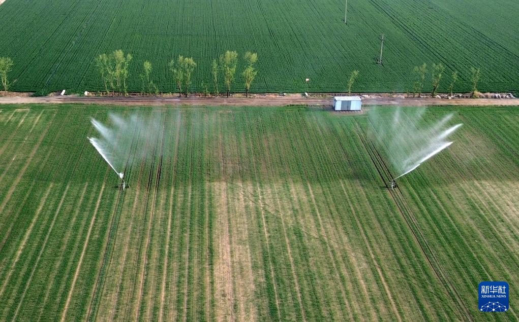 山东潍坊:小麦春季灌溉忙
