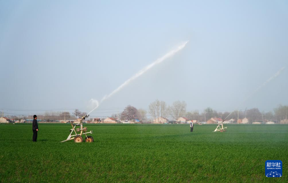 山东潍坊:小麦春季灌溉忙