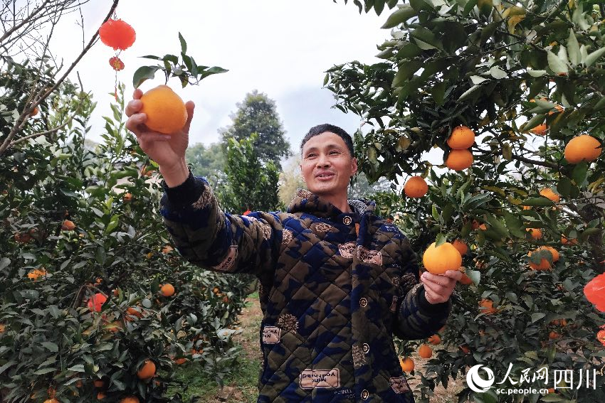 乡村观察｜铁牛村，是未来村吗？
