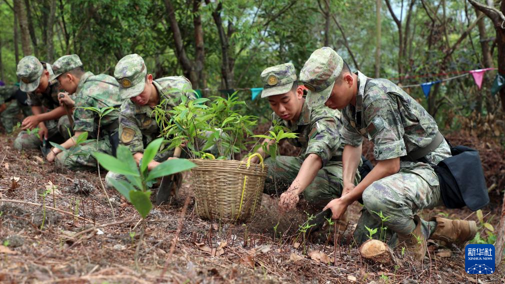 解放军驻香港部队官兵参加2024年香港植树日活动
