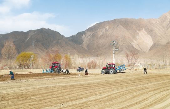 西藏各地开足马力打好农业生产“第一仗”