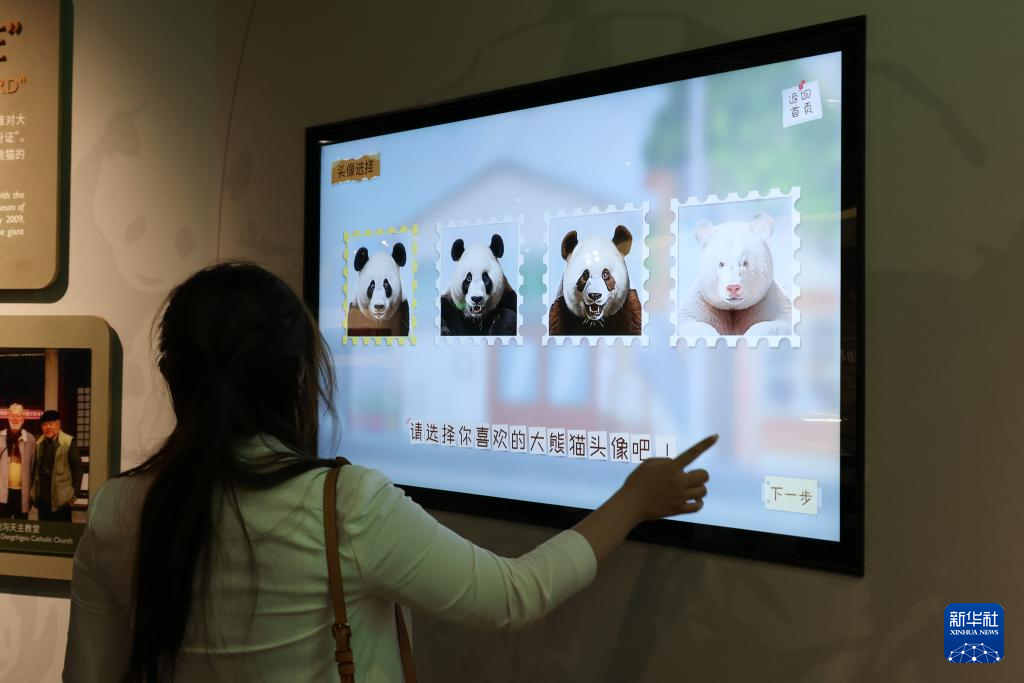 四川宝兴：大熊猫国际文化交流中心开馆