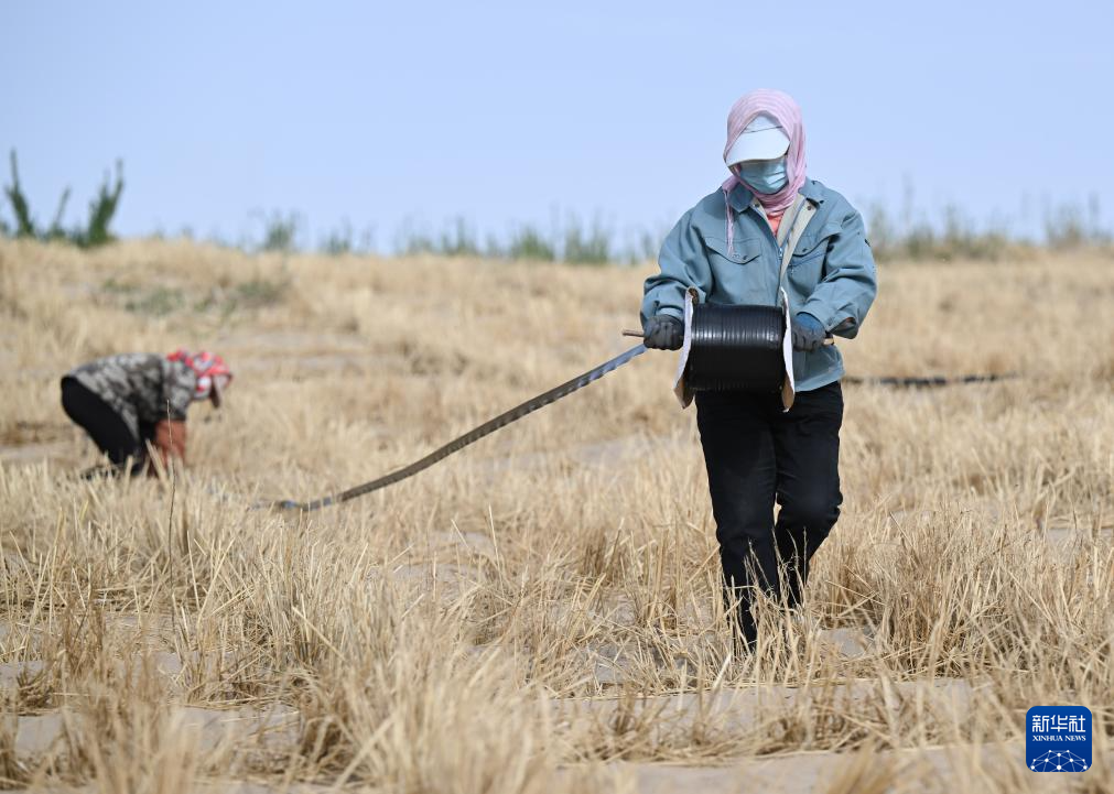 内蒙古：综合运用多种手段治理科尔沁沙地