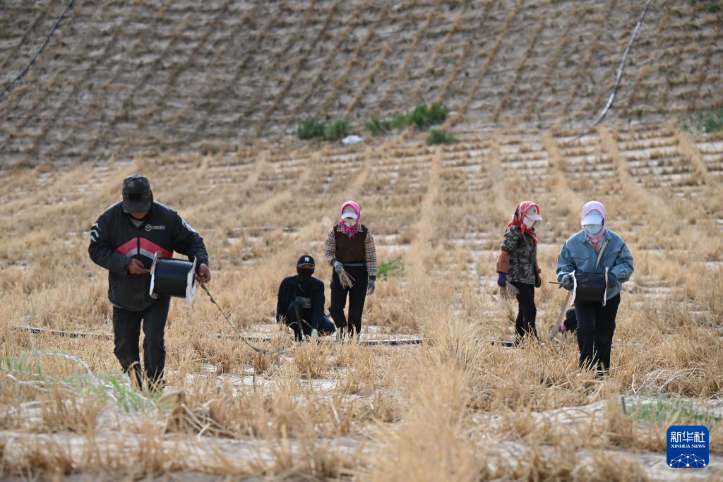 内蒙古：综合运用多种手段治理科尔沁沙地