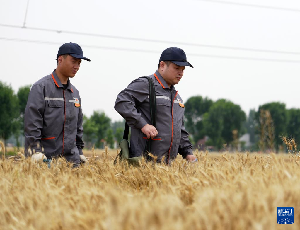 河南邓州：农机维保 服务“三夏”