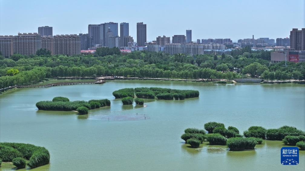 宁夏银川：城在湖中城愈美 湖在城中湖更秀