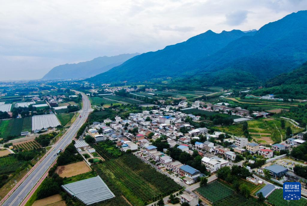 高质量发展调研行｜秦岭脚下乡村致富经