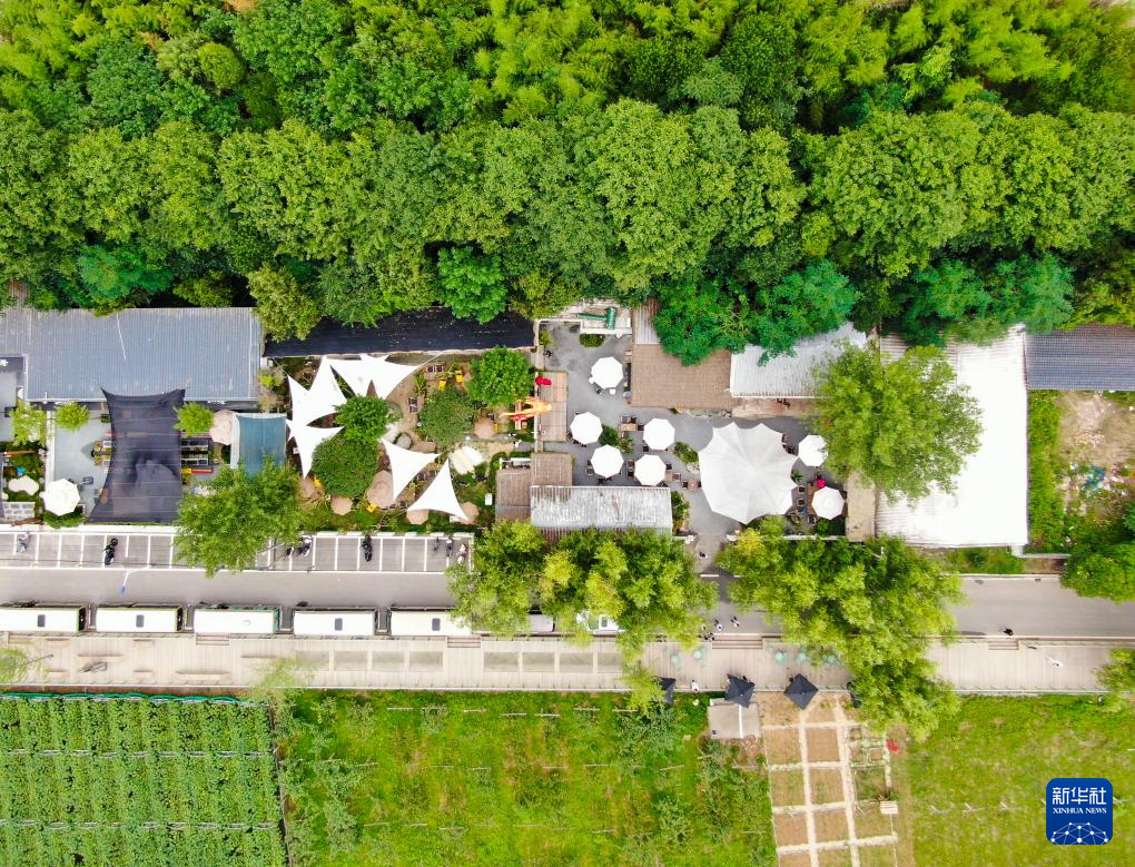 高质量发展调研行｜秦岭脚下乡村致富经
