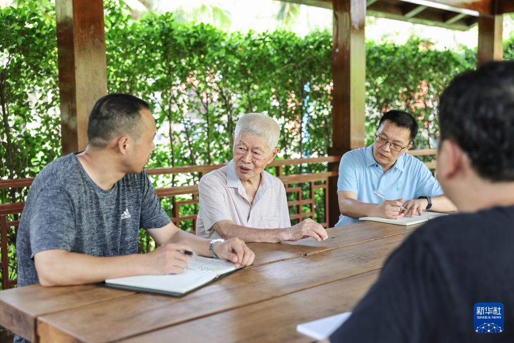 育种人三代传承 橡胶树结出科技硕果