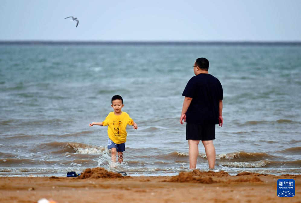 渤海湾畔海岸新