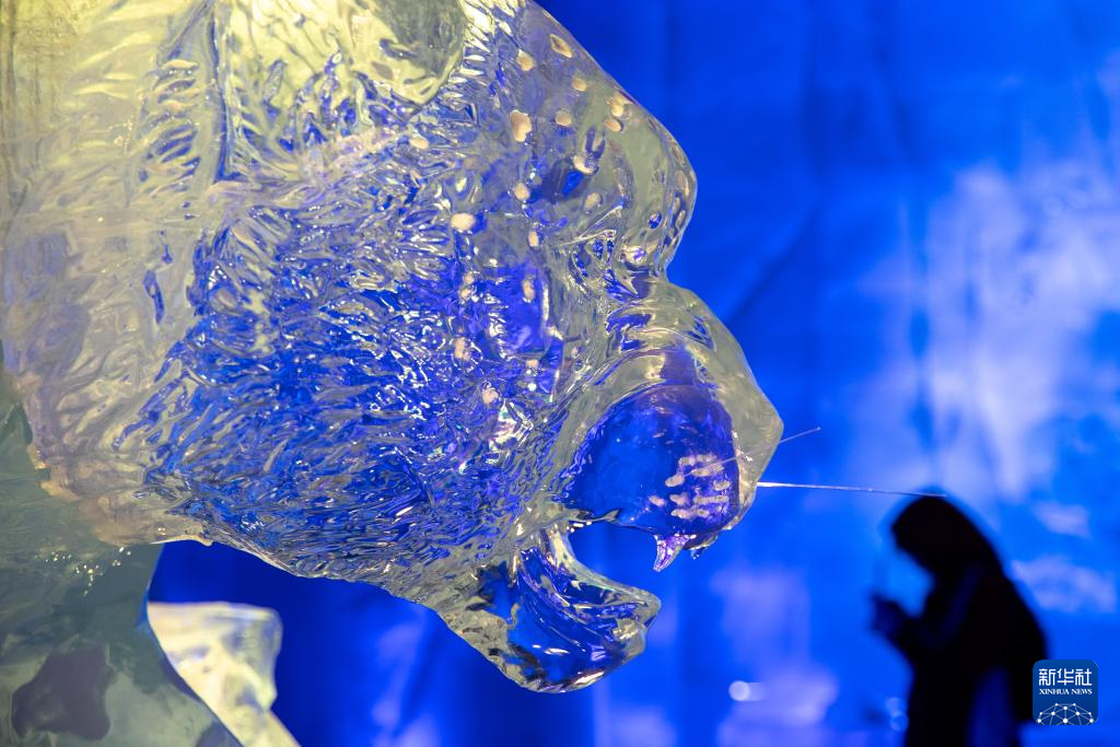 一秒穿越冬夏 哈尔滨“冰雪小世界”开馆