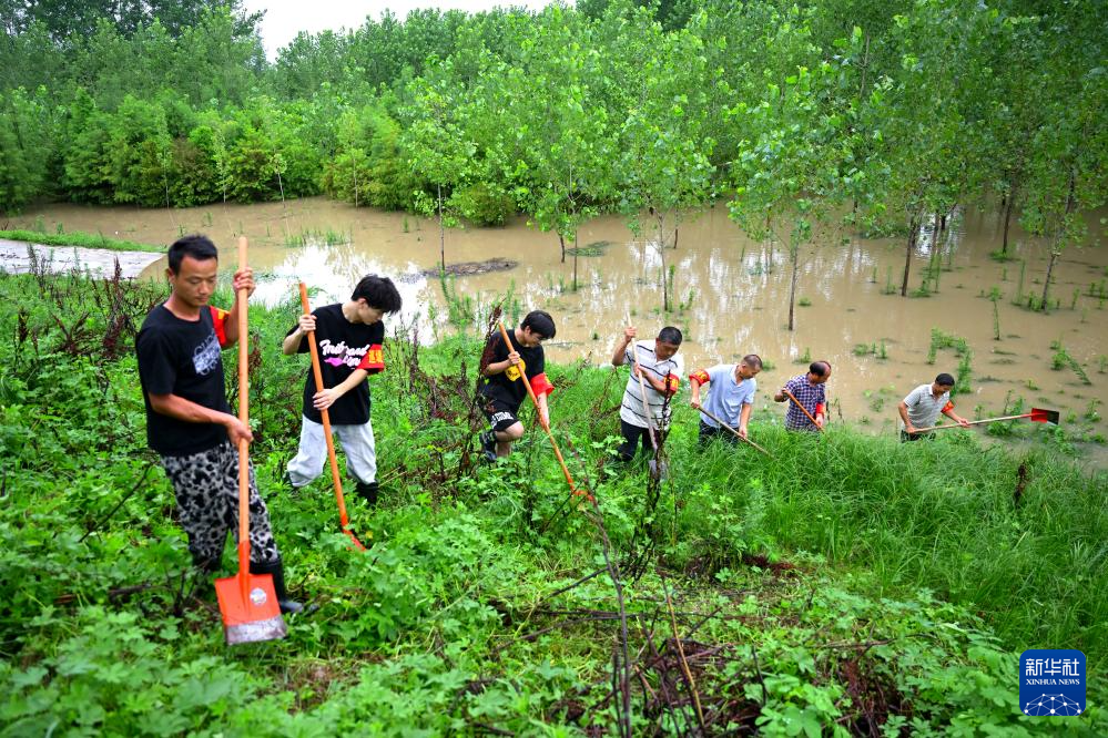 安徽阜南王家坝防汛一线直击