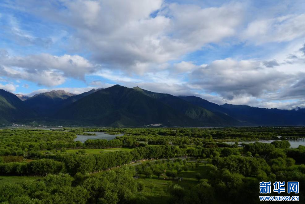 【我们的家园】雅尼国家湿地公园：亦“湿”亦画 绘就绿水青山新画卷